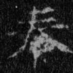 奉