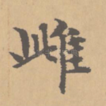 雌