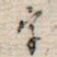 字