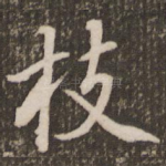 枝