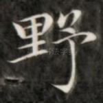 野