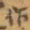 作