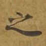 之