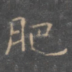 肥