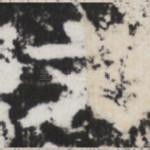 文