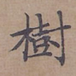 樹