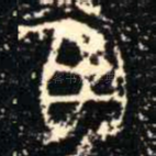 貝
