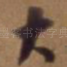 大