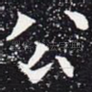 公