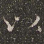以