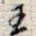 五