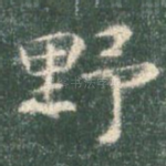 野
