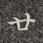 廿