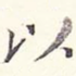 以