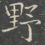 野