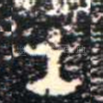 王