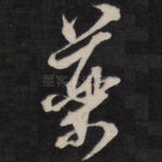 药