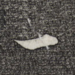 一