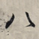 八