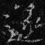 遂