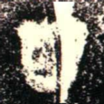 丁