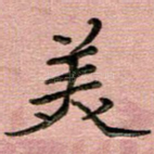 美