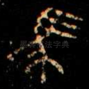 馬