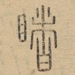 睹