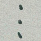 三