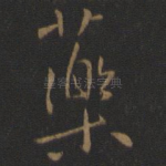 药