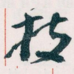 枝