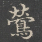 莺