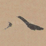 八