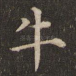 牛