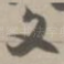 文