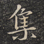 集