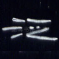 泛