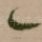 一