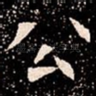 公