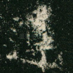 遵