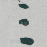 三