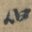 伯