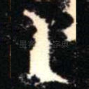 乙