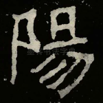 陽