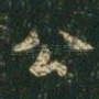 公