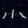小
