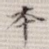 本