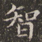 智