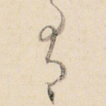 有
