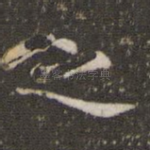 之